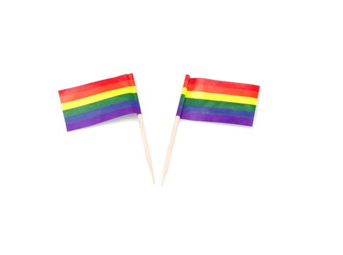 Vlagprikker Rainbow 65 mm